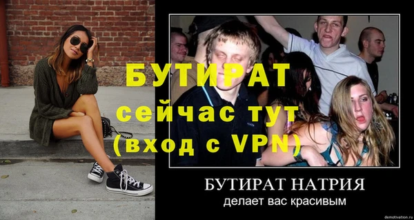 гидра Володарск