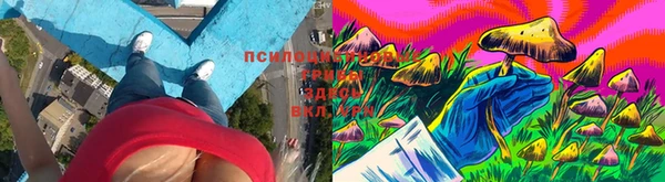 гидра Володарск
