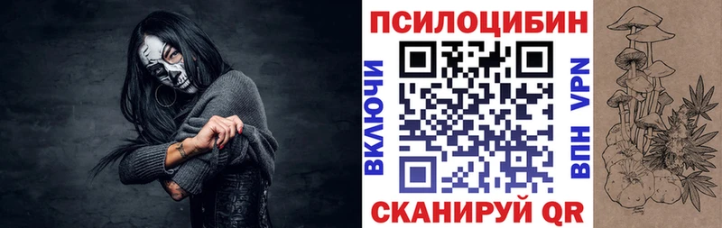 мориарти официальный сайт  Данилов  Псилоцибиновые грибы мицелий  как найти закладки 